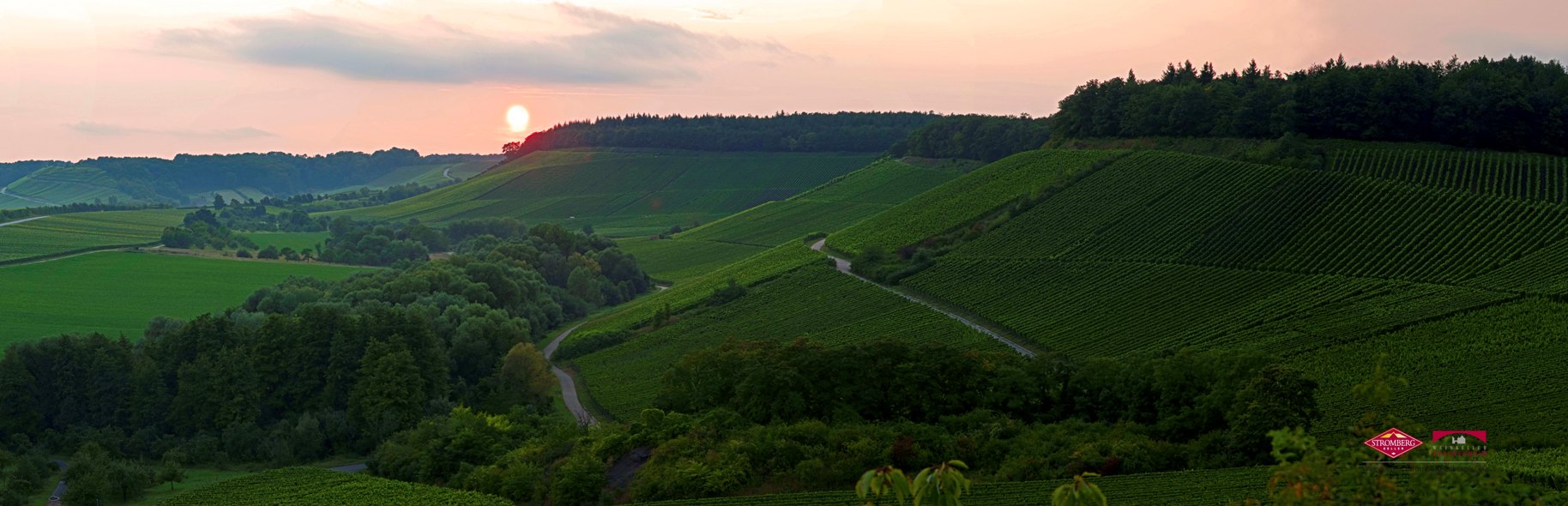 tl_files/images-nachrichten/04_wein/Regener/Zweifelberg im Blick.jpg