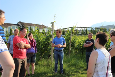 tl_files/images-nachrichten/04_wein/Regener/Trentinreise/Herr Raifer im Weinberg.JPG