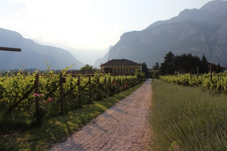 tl_files/images-nachrichten/04_wein/Regener/Trentinreise/Weingut Endrizzi.JPG